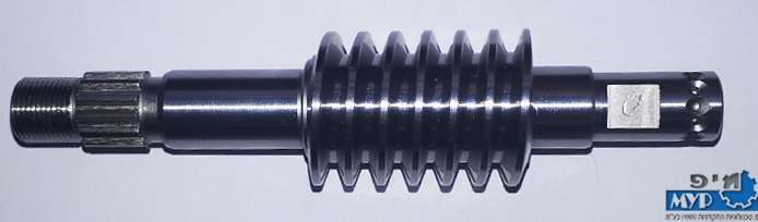 Worm Screw